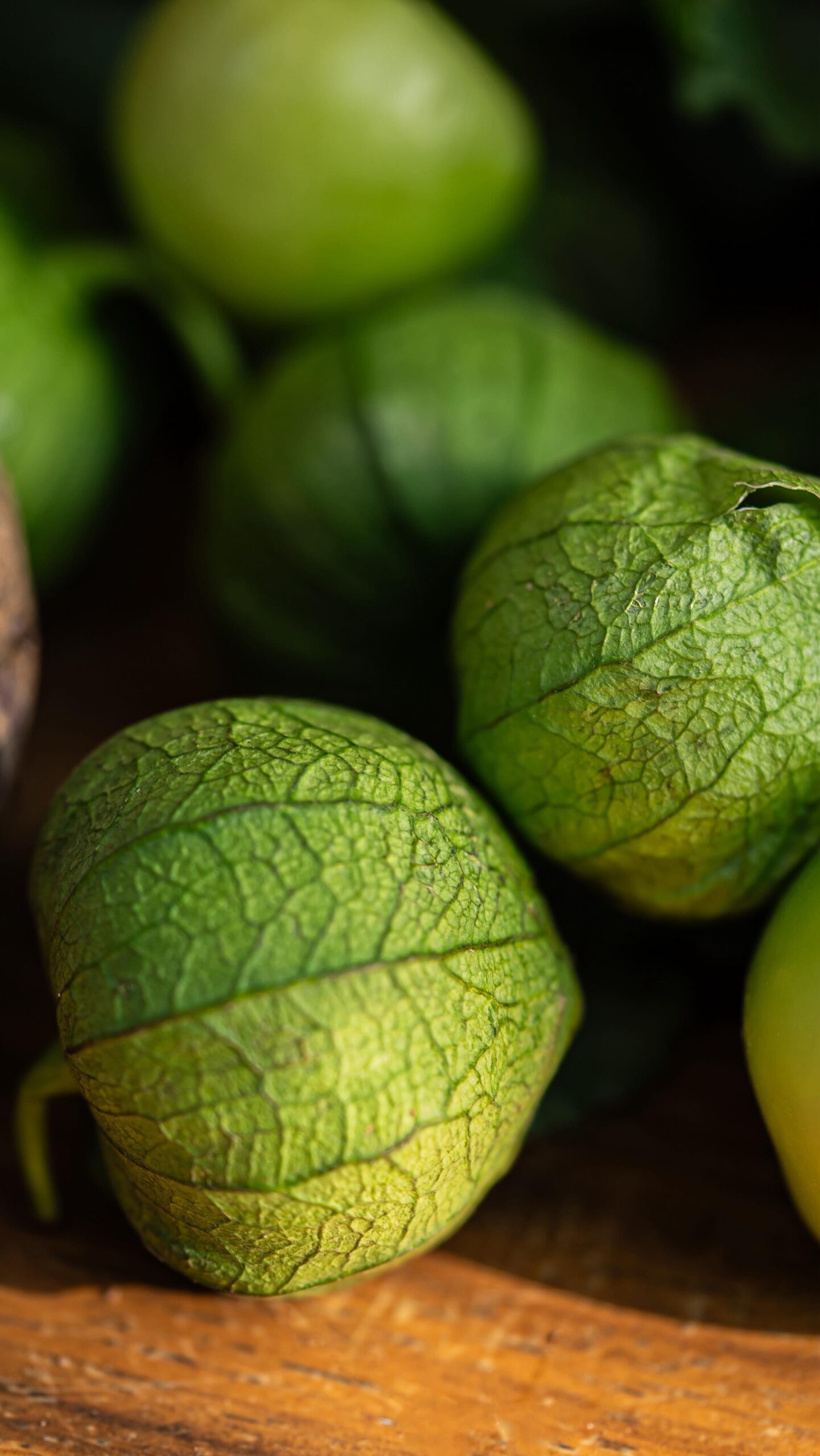 561010752_18036528119699741_8296664773735482290_n Frutería Carlos