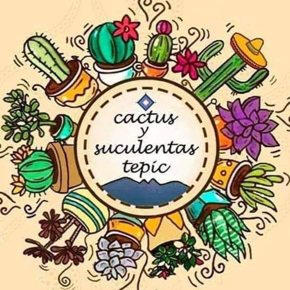 Cactus y suculentas Tepic