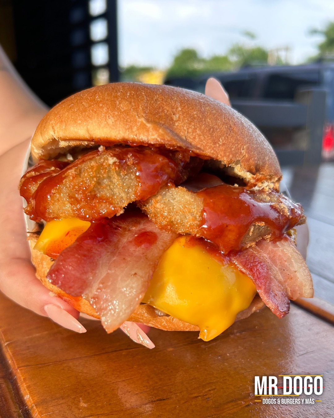 472668547_122189858294159269_3208778735973522182_n Mr. Dogo Tepic