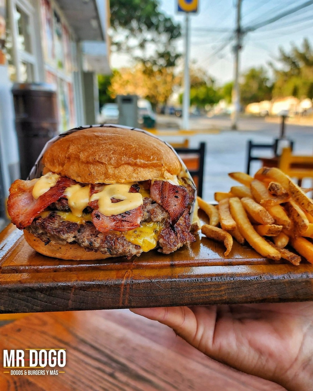 486310167_122202493442159269_1589809972551047630_n Mr. Dogo Tepic